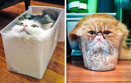 حقایقی جالب که جهان را از زاویه&zwnj;ای متفاوت نشان می&zwnj;دهند (+عکس)