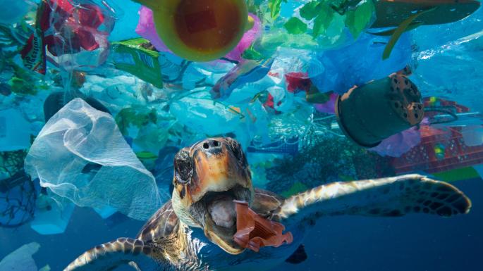 کانادا: یکبار مصرف&zwnj;های پلاستیکی 