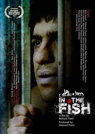 دومین حضور فیلم «درون ماهی» پس از شانگهای در دوبلین ایرلند دومین حضور فیلم «درون ماهی» پس از شانگهای در دوبلین ایرلند