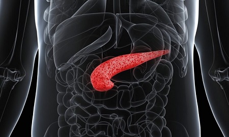 کلینیک گوارش عصر ایران/ بروزرسانی مهر ۹۸