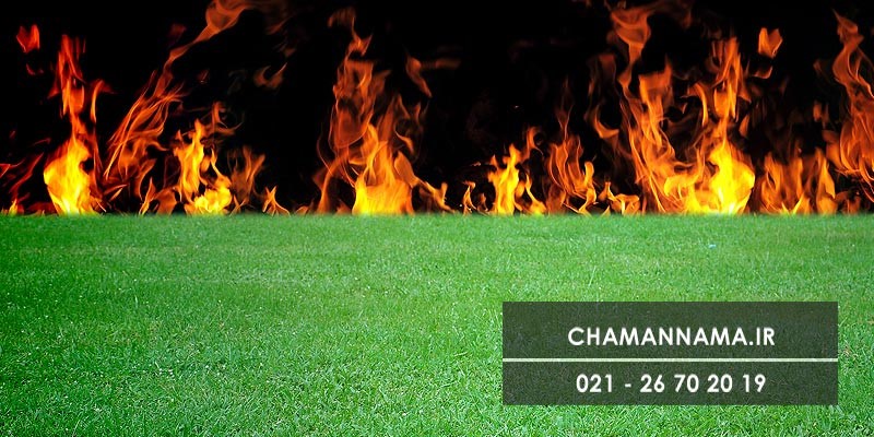 چمن مصنوعی محصولی لوکس در ایران چمن مصنوعی محصولی لوکس در ایران
