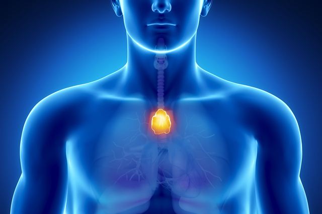 دانشمندان ترکیه&zwnj;ای: اگر یک غده&zwnj;تان خوب کار کند مستعد نوع خفیف کرونا هستید