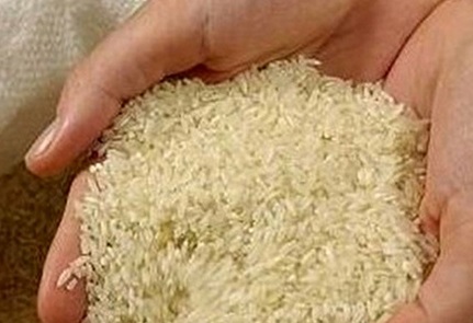 هشدار شرکت بازرگانی دولتی: مراقب آگهی&zwnj;های فروش برنج خارجی با برند GTC باشید