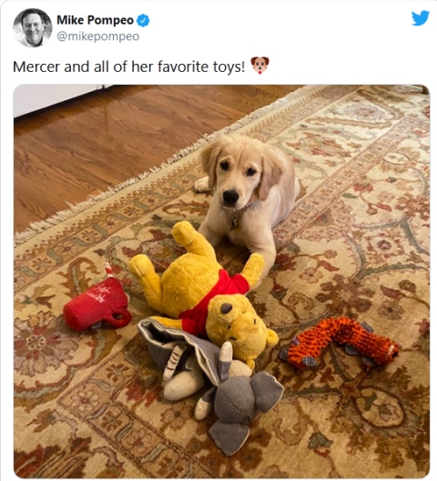 توییت شیطنتآمیز پمپئو: همه اسباب بازیهای توییت شیطنتآمیز پمپئو: همه اسباب بازیهای