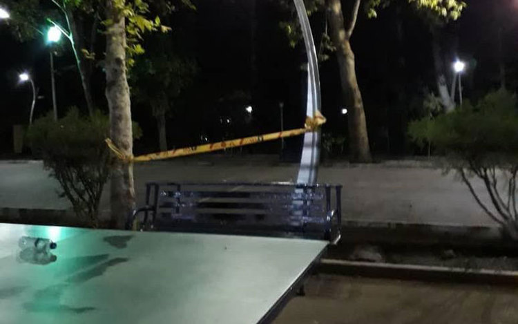 حادثه پارک لاله