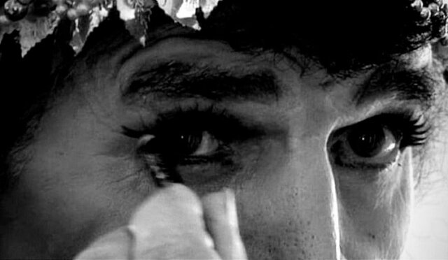 ۶ نمایش فیلم مستند &laquo;خرامان&raquo; در جشنواره های خارجی