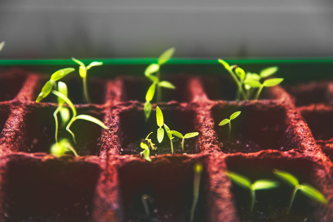 چگونه می&zwnj;توان ریسک سرمایه&zwnj;گذاری را در دوران ریزش شاخص کاهش داد؟