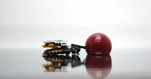 سوسک&zwnj;های رباتیک