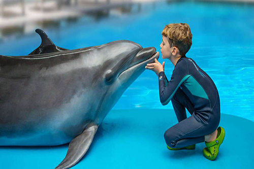 پستاندارانی بسیار دوست داشتنی و باهوش