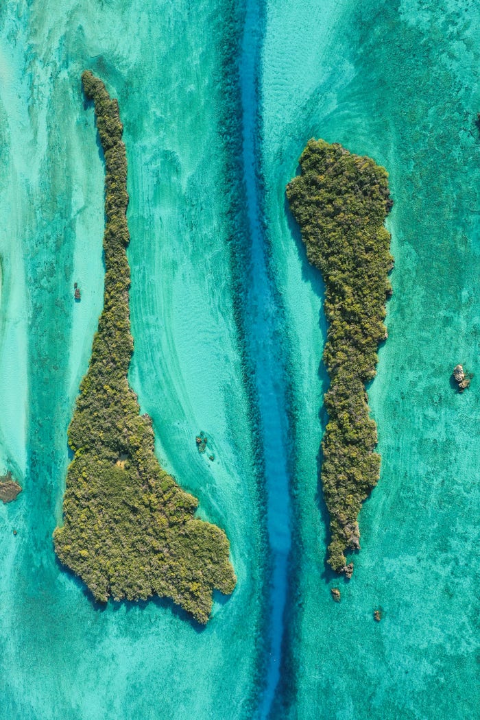 نمایی شگفت انگیز از حیات زیرآبی در مسابقه عکس روز جهانی اقیانوس