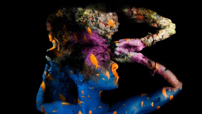 نمایی شگفت انگیز از حیات زیرآبی در مسابقه عکس روز جهانی اقیانوس