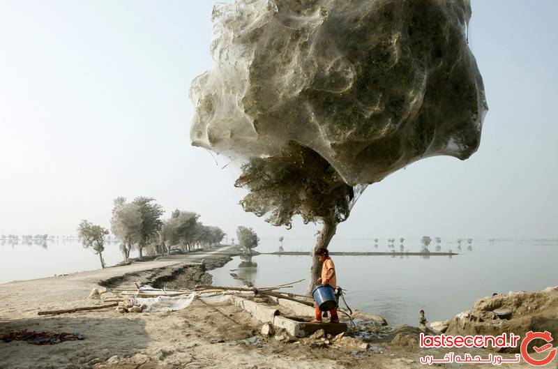 منظرههای باورنکردنی و خارق العاده در طبیعت (+عکس) طوفانهای تندری کثیف