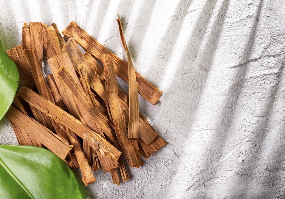 پنجه گربه؛ درباره یک گیاه 30 متری و فواید جالب آن! (+عکس)