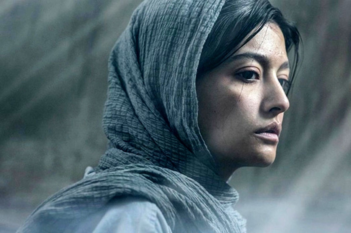 پوست شیر و دلیل بی احترامی به سازندگان! ادامه داستان و انواع پیش بینی‌ها...