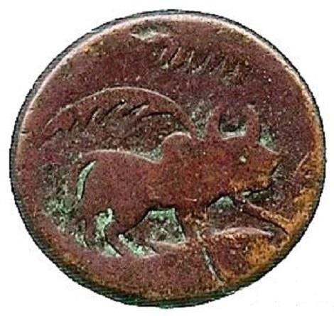 کمپین تحریم سبزه و ماهی و  سیر و سماق!