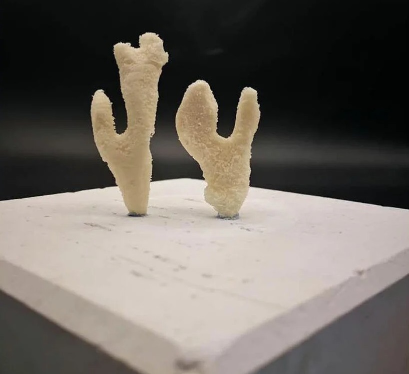 باکتری چاپ سه بعدی