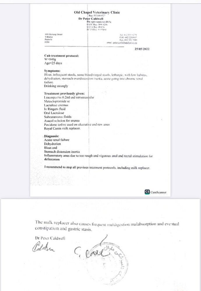 افشای سند دکتر پیتر کالدول از بیماری «پیروز»/ «چرا به مردم امید بیهوده دادید؟» افشای سند دکتر پیتر کالدول از بیماری «پیروز»/ «چرا به مردم امید بیهوده دادید؟»