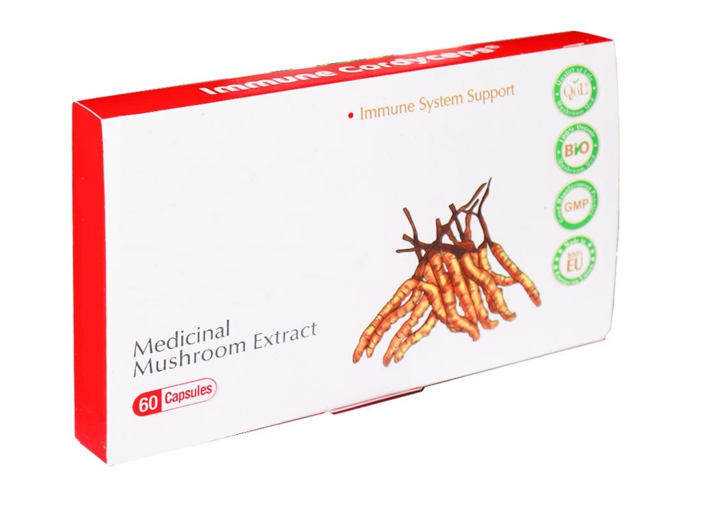 همراه با فواید علمی قارچ های کیسه ای سرچُماقی&zwnj;؛ از بهترین مکمل های تقویت سیستم ایمنی