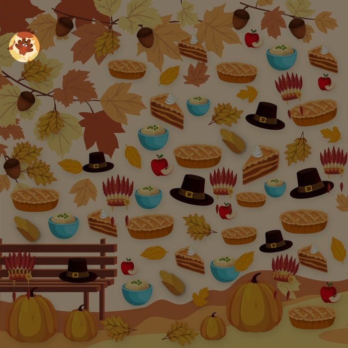 آیا می توانید بوقلمون پنهان شده را پیدا کنید؟ (تصویر)