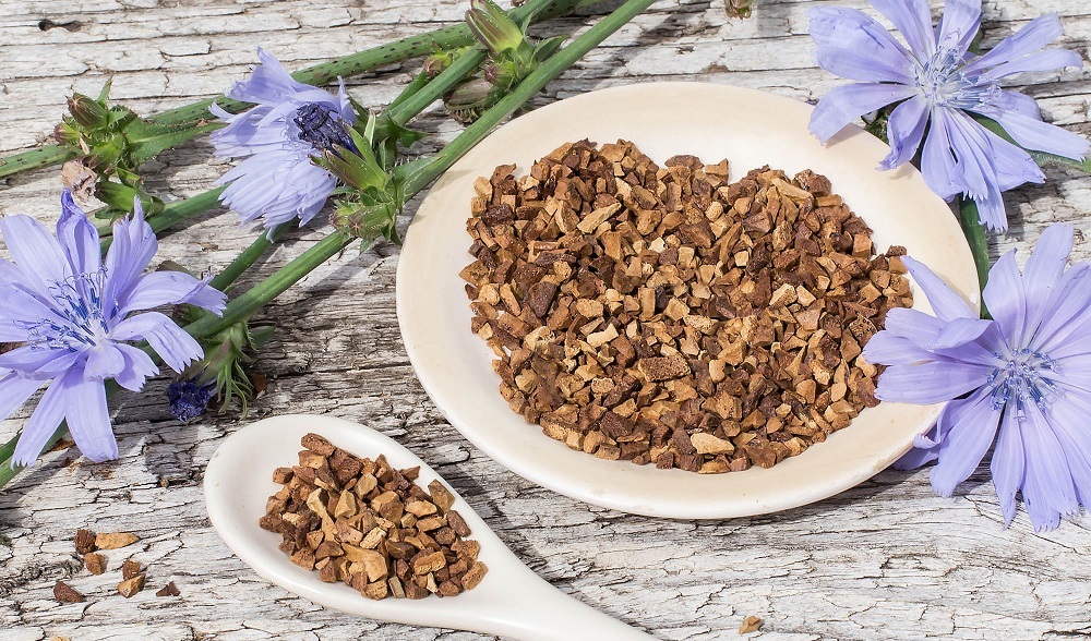 کاسنی؛ از فیبر پری بیوتیک تا حمایت از کاهش وزن