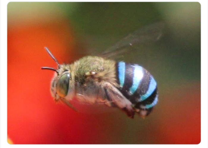 به باغ&zwnj;وحش حیوانات عجیب خوش آمدید