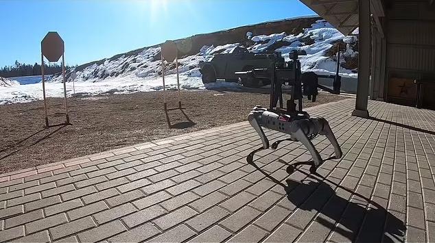 ببینید| سگ رباتیک روسی مجهز به مسلسل خودکار با قیمت ۳.۰۰۰ دلار رونمایی شد ببینید| سگ رباتیک روسی مجهز به مسلسل خودکار با قیمت ۳.۰۰۰ دلار رونمایی شد