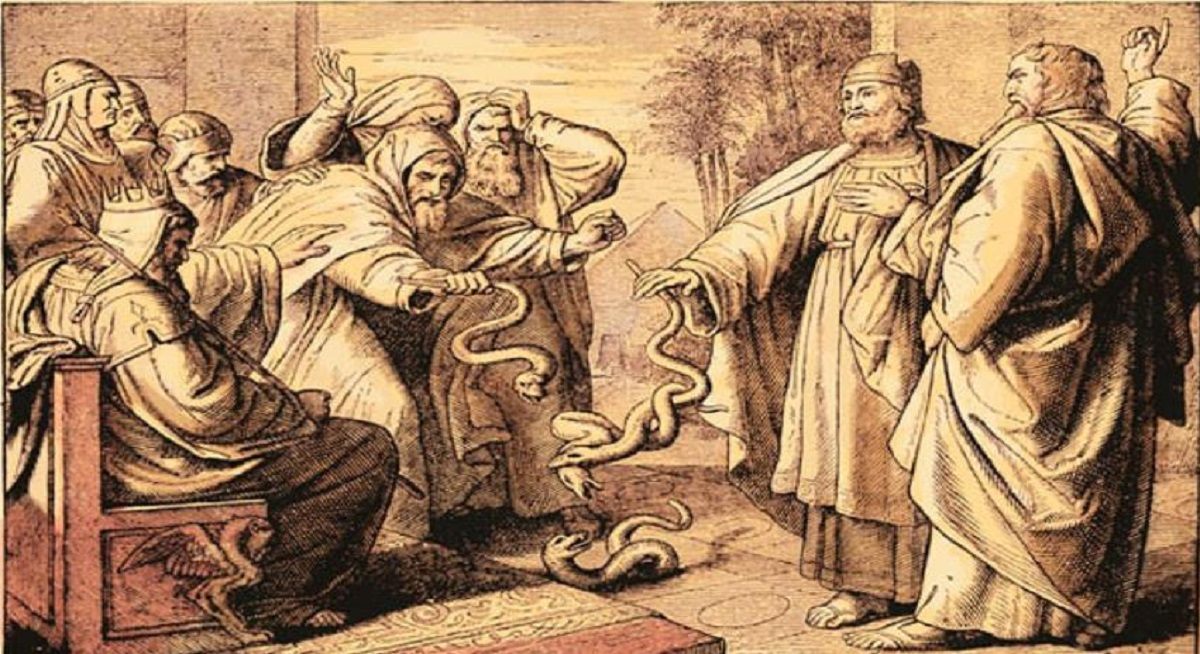 تیرانی یا جباریت چیست؟