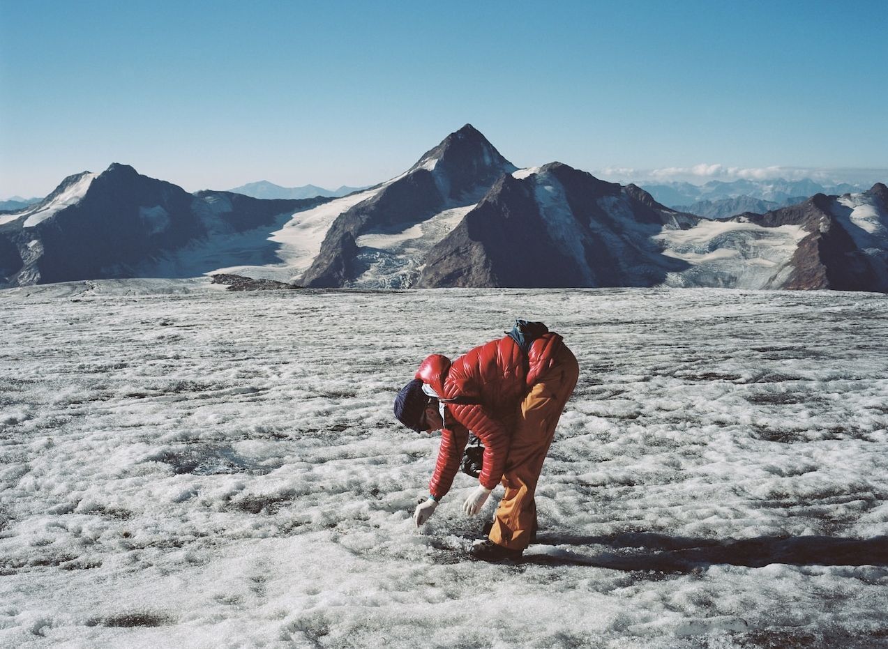 بزکوهی 500 ساله از یخچال کوههای آلپ سر درآورد (+عکس) بزکوهی 500 ساله از یخچال کوههای آلپ سر درآورد (+عکس)