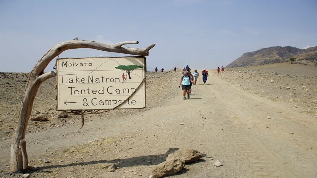 دریاچه مرموزی که حیوانات را به سنگ تبدیل می‌کند!