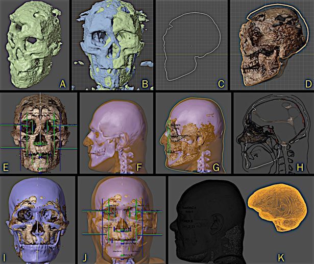 بازگشت به زندگی پس از 35 هزار سال بازگشت به زندگی پس از 35 هزار سال
