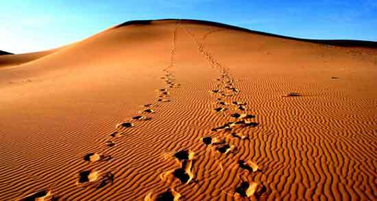 خواب چیزی نیست جز تفکر