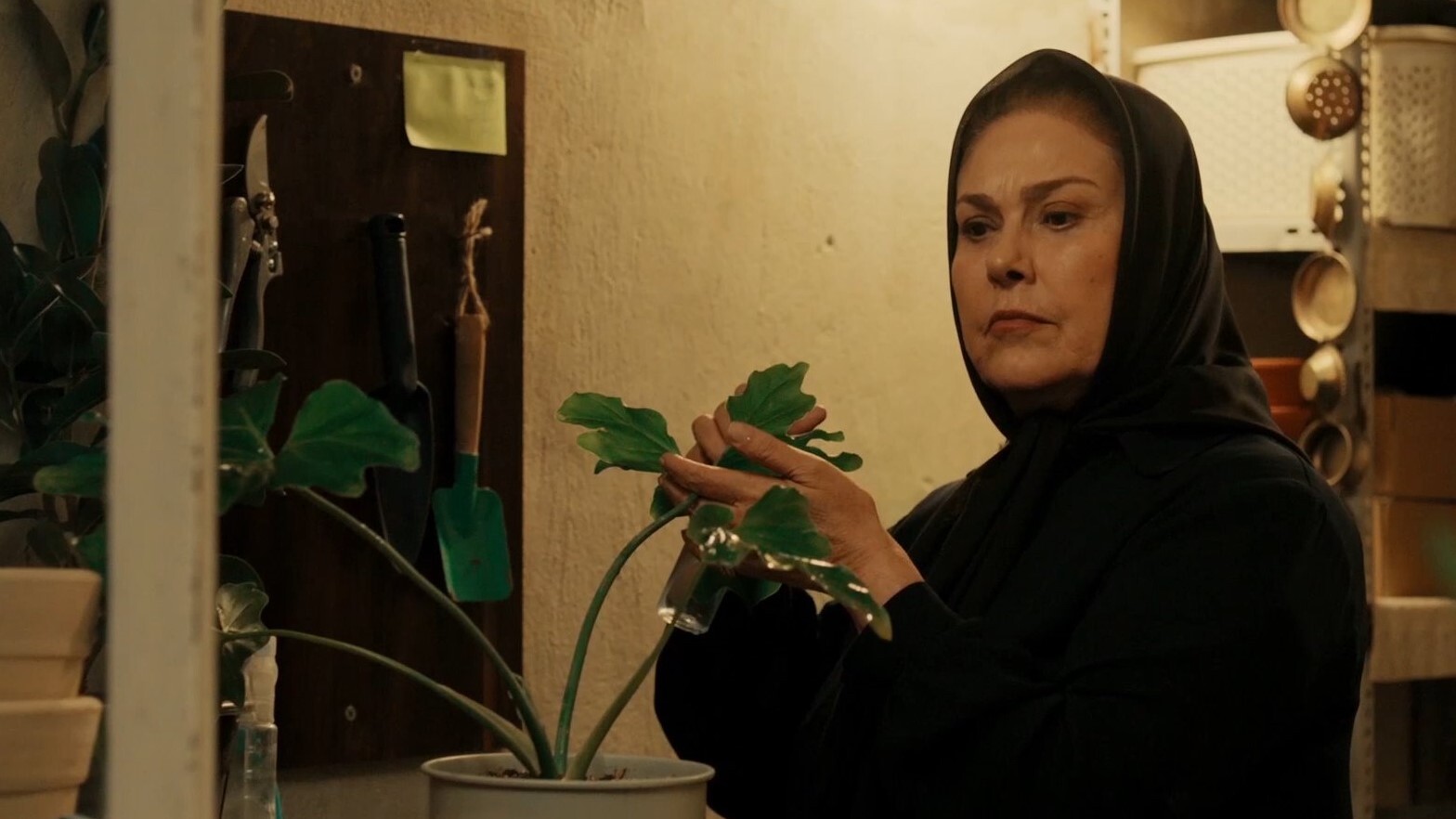 سریال مترجم ؛ آقای توکلی کاش یک مشاور داشتید، به همین سادگی ...