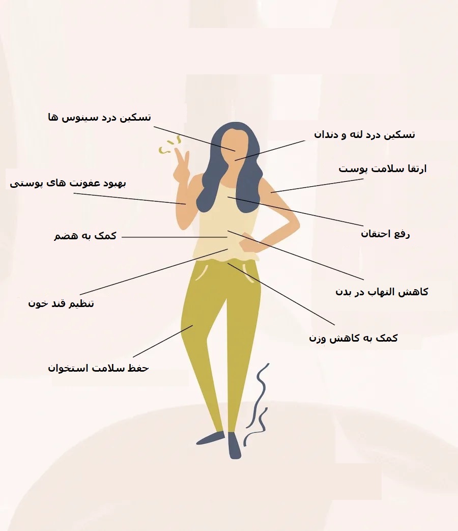 همه چیز درباره خواص شگفت انگیز چای میخک