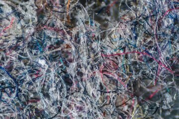 آینده شگفت‌انگیز پوشیدنی‌ها/ لباس‌هایی که زنده‌اند