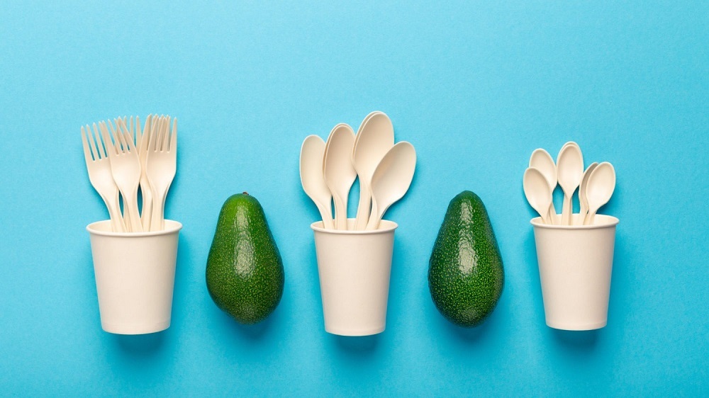 هسته آووکادو