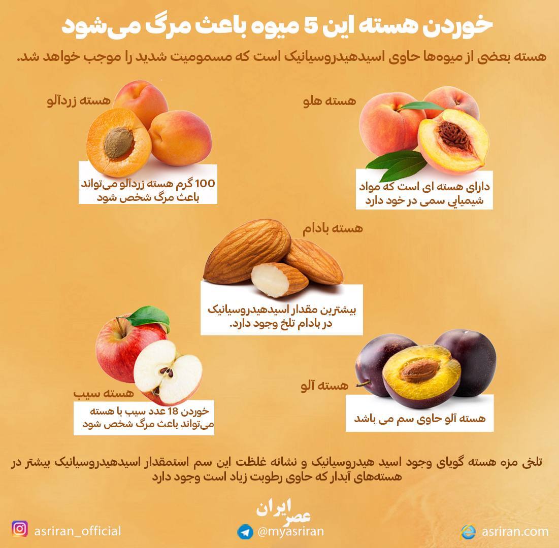 5 میوه با هسته های خطرناک (اینفوگرافیک)